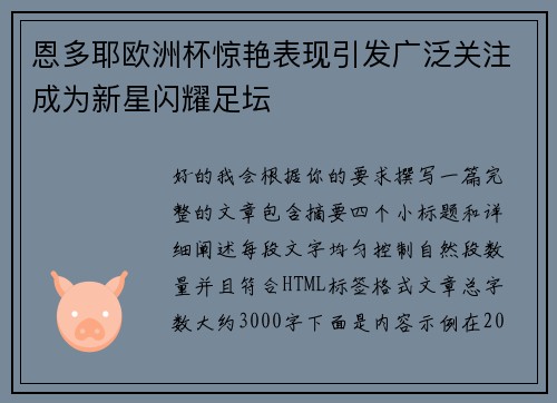 恩多耶欧洲杯惊艳表现引发广泛关注成为新星闪耀足坛